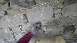 acastle
                          112250.jpg
